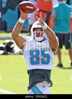 Miami Dolphins 2020 Training Camp Preview: Tight End