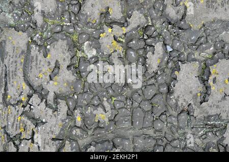 old waterproof roll roofing in cracks and moss. Texture Stock Photo