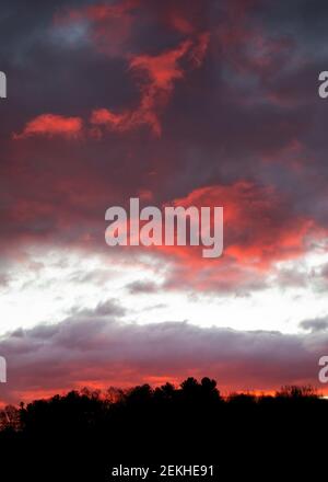 A dramatic orange-red December sunrise is seen above the tree line in western North Carolina. Stock Photo