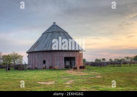 A Scene of Round Barn in Indiana, United States. Round barn is a historic barn design that could be octagonal, polygonal, or circular Stock Photo