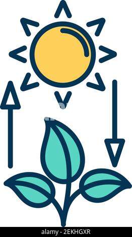 Competent photosynthesis RGB color icon Stock Vector