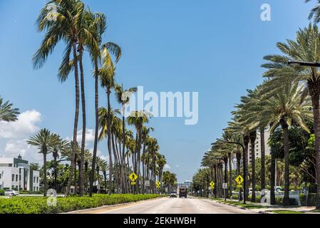 Bal Harbour, USA - May 8, 2018: Rows of palm trees by side road roadside in upscale wealthy neighborhood of Miami, Florida with traffic cars on street Stock Photo