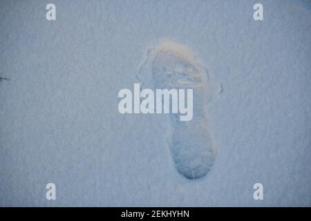 footprints in the  pure white snow on a foggy day Stock Photo