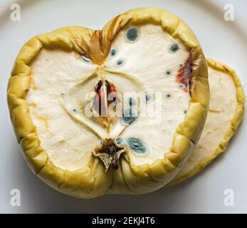 Real half of apple with beautiful spots of mold like symbol of time Stock Photo