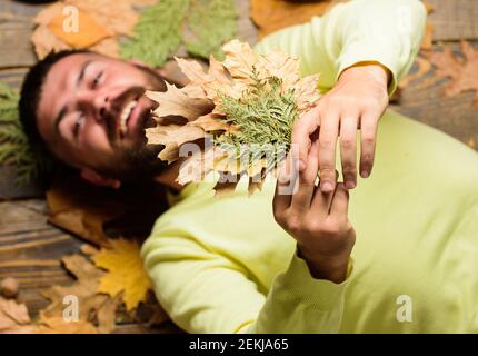 Fall atmosphere attributes. Fall and autumn season concept. Man bearded smiling face lay on wooden background with orange leaves top view. Hipster with beard enjoy season hold autumn dry leaves. Stock Photo
