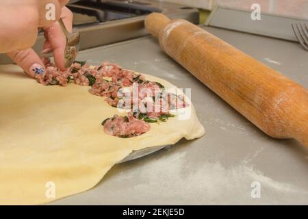 Cooking homemade dumplings. Minced meat with spinach is spread with spoon on thin dough special form. Close-up, selective focus. Stock Photo