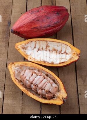 Open red cocoa showing seeds over wooden table. Stock Photo
