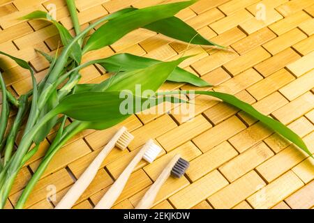 Young green bamboo branches, leaves, toothbrush on wooden background. Spa, massage, welbeing, zen concept Stock Photo