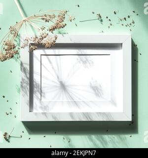 Floral flat lay with picture frame and dark plant shadow Stock Photo
