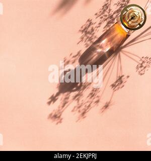 Vintage perfume bottle with sunlight shadow on pink background Stock Photo