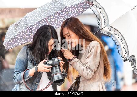 Photographer in the rain, Toronto, Canada Stock Photo
