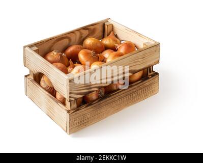 Side view of wooden crate with fresh raw yellow onion isolated on white background. Eco-friendly rustic style wood box for veggie. Domestic life. Stock Photo
