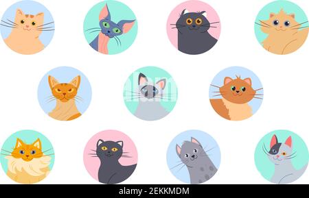 Cats avatars. Funny kittens of various breeds, user profile images. Isolated domestic cat vector set Stock Vector