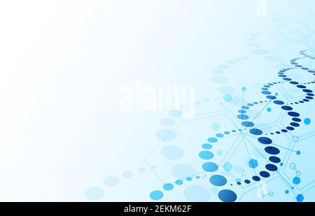 DNA background. Blue abstract helix biotechnology and hexagon molecular texture with copy space for text, genome engineering vector concept Stock Vector