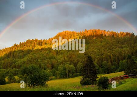 Evening rainbow in front of mountain landscape on the slopes of the Feldberg in the German Black Forest Stock Photo