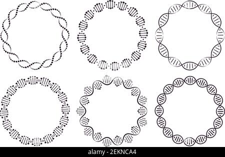 DNA round frames. Circle framing with genome helix structure isolated on white background vector set. Six pattern brushes in panel Stock Vector