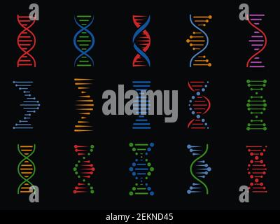 DNA signs. Human chromosome genetic spiral structure, genome helix. Biotechnology molecular icons, isolated vector elements Stock Vector