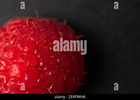 Detailed closeup of single red raspberry isolated on black. selective focus macro Stock Photo