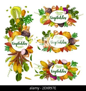 Vegetables frames of exotic veggies. Vector rutabaga and artichoke, sweet potato and cassava, cyclanthera and jicama. Taproots, beans and tubers, radi Stock Vector