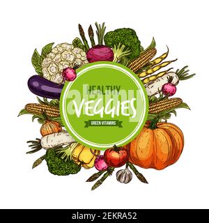 Vegetable sketches round vector frame. Veggies with green vitamins, pumpkin and tomato, garlic and bell pepper, broccoli and eggplant, radish and corn Stock Vector