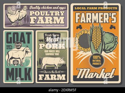 Farm animals and vegetables retro posters of agriculture, milk, poultry and crop farming vector design. Pig, cow and rooster, chicken, goat and tracto Stock Vector