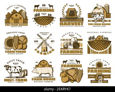 Agriculture farming icons. Vector farm and vegetables harvest, beef and pork meat butchery, pig and cow, wheat barn and farmer mill on field, chicken Stock Vector
