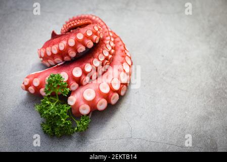 Boiled octopus tentacles with herb on plate, Octopus food cooked salad seafood squid cuttlefish Stock Photo