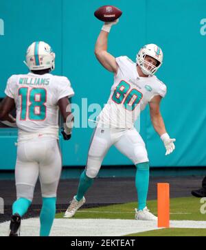 Miami Dolphins tight end Adam Shaheen (80) celebrates after scoring a  touchdown during the first half of an NFL football game against the New  York Jets, Sunday, Oct. 18, 2020, in Miami