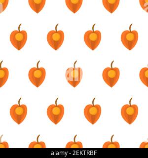 Seamless pattern with physalis. Orange fruit inca berry. Organic textile. Vector nature graphic background. Stock Vector