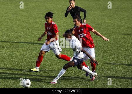 Loures, 10/24/2020 - Sport Grupo Sacavenense hosted this afternoon Sport  Club UniÃ£o Torreense, at Elias Pereira Stadium, in a game counting for the  fourth round of Series F of the Portugal 2020/21 Championship. Yuk; Alison;  Saavedra (Pedro Rocha ...