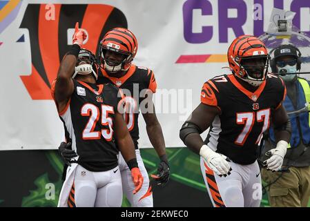 October 25, 2020: Giovani Bernard #25 of the Cincinnati Bengals celebrates  with head coach Zac Taylor of the Cincinnati Bengals after scoring a late  4th quarter touchdown during NFL football game action