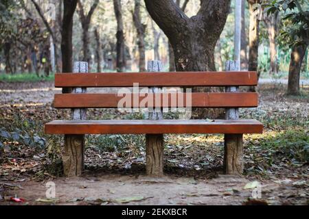 Old Wooden empty Bench in park, front view. Natural background. Stock Photo