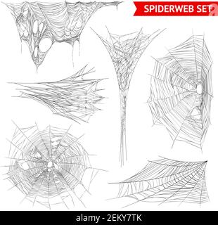 Various types of spider web and cobweb structures realistic images collection on white background isolated vector illustration Stock Vector