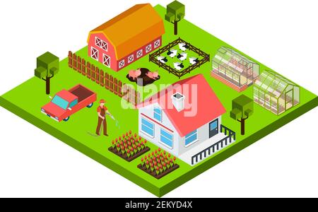 Colorful isometric concept with farmer barn cottage cattle and greenhouse 3d vector illustration Stock Vector