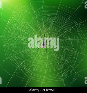 Brightly lit green realistic background with spider weaving its sophisticated web 3d vector illustration Stock Vector