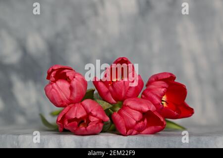 Five red tulips on a table Stock Photo