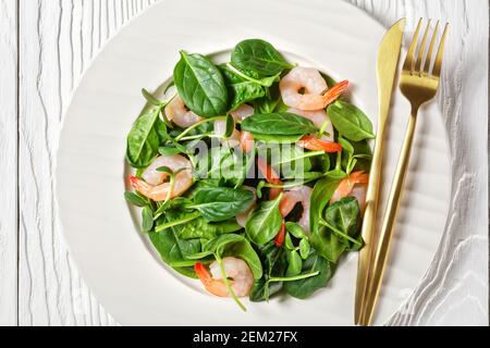 Salad of microgreens with avocado shrimps, baby spinach leaves, fresh sunflower sprouts, yogurt and tahini dressing with chili flakes served on a whit Stock Photo