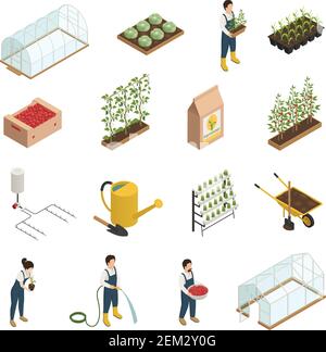 Greenhouse facilities personnel tools equipment plants accessories isometric icons set with wheelbarrow Stock Vector