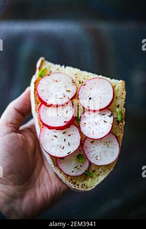 An open sandwich with butter and fresh radishes Stock Photo