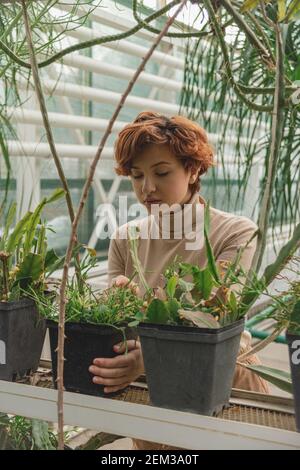 A beautiful plus size young woman takes care of plants green plants  Stock Photo