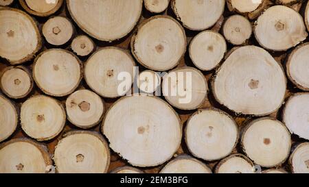 Wooden Background from log cabins. dry wooden log cabins. texture of tree stump. cross section log texture Stock Photo