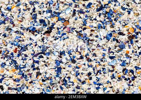 Broken Mussel shells washed up on a beach on the Western seaboard of Cape Town Stock Photo