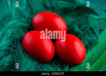Easter eggs. Colored egg. Easter. Red eggs on green feathers Stock Photo
