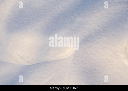 White background with fresh snow and shadows Stock Photo