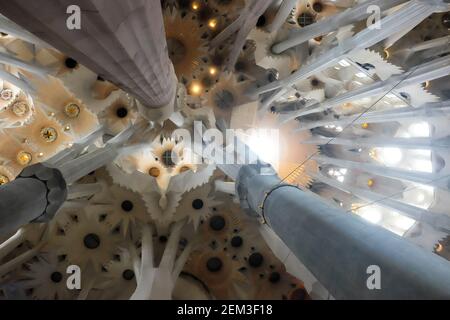 Interior of La Sagrada Familia Cathedral. Barcelona, Catalonia, Spain Stock Photo