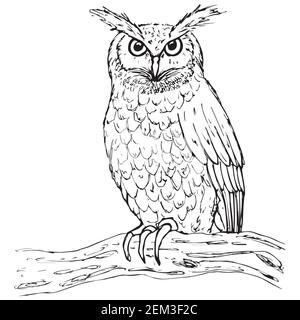 Decorative owl sitting on a branch, on a white background Stock Vector