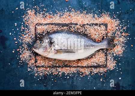Raw dorado fish on a himalayan pink salt backgrouns. Mediterranean seafood concept. Top view, copy space for text Stock Photo
