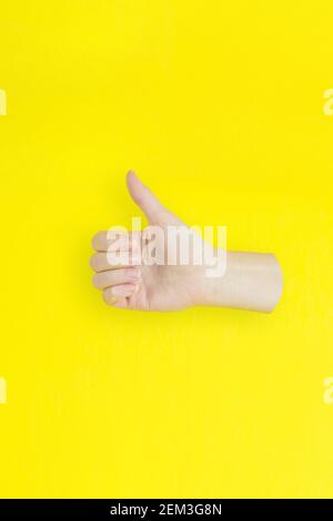 https://l450v.alamy.com/450v/2em3g8n/hand-show-like-or-good-sign-success-and-nice-on-yellow-background-2em3g8n.jpg