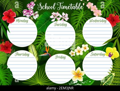 School timetable, student classes week schedule on tropical exotic leaf and floral pattern background. Vector school timetable template with green tro Stock Vector