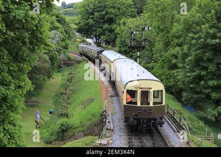 A 4600 Class 0-6-0 Pannier Tank locomotive of South Devon Railway shunting carriages at Buckfastleigh Station. Devon Stock Photo